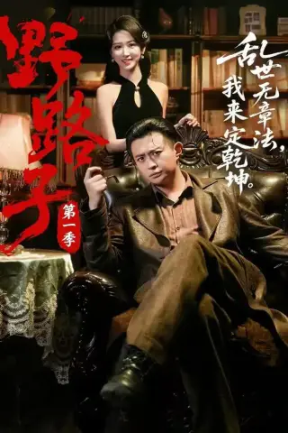 《野路子·第一季（83集）赵星卉＆马瑞泽（1080P）（夸克网盘）》短剧封面