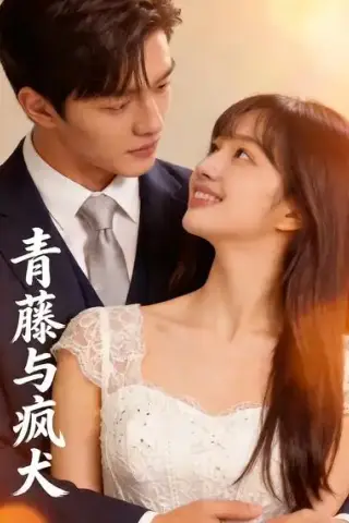 《青藤与疯犬（16集）（夸克网盘）》短剧封面