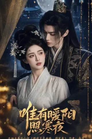 《唯有暖阳照寒夜（101集）AI短剧 (2026)》短剧封面