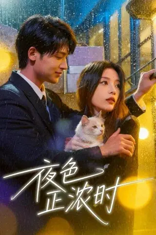 《夜色正浓时（32集）徐梅＆谭伟英＆博之（百度网盘）》短剧封面