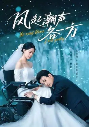 《风起潮声各一方(84集)祁圣翰&王艺舒(夸克网盘)》短剧封面