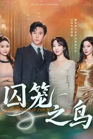 《囚笼之鸟（52集）程澄&彭丹丹（彭呆呆）》短剧封面