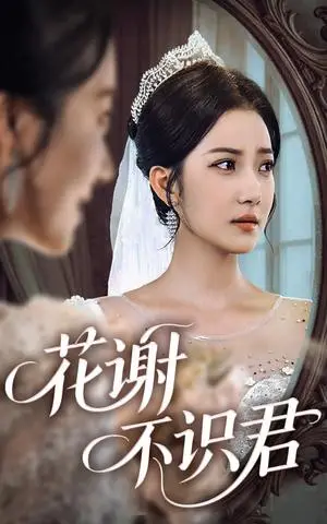 《花谢不识君（40集）段文鹏＆贾金赛》短剧封面
