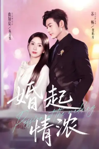 《婚起情浓（99集）苏畅＆鹿知夏（1080P）（夸克网盘）》短剧封面