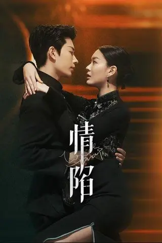《情陷（24集）》短剧封面