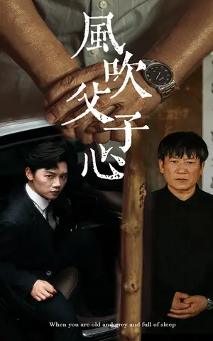 《风吹父子心》短剧封面