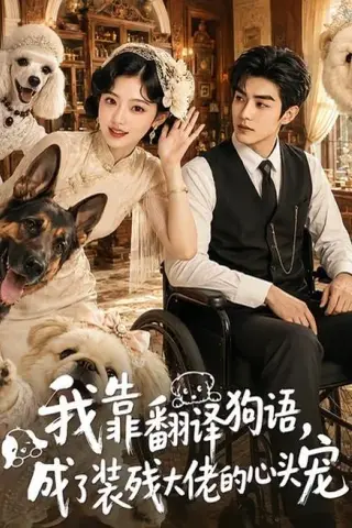 《我靠翻译狗语，成了装残大佬的心尖宠（80集）（夸克网盘）》短剧封面
