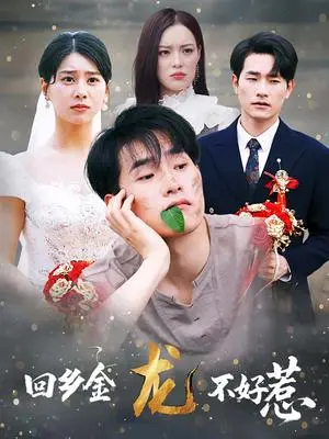 《回乡金龙不好惹(74集)薛海威&徐海文》短剧封面