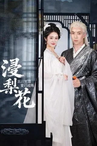 《浸梨花》短剧封面