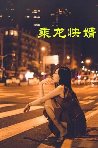 《擦边短剧：乘龙快婿（30集）（百度网盘）》短剧封面