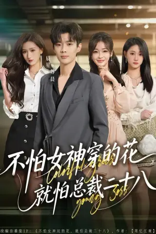 《不怕女神穿的花，就怕总裁二十八（81集）辰星＆汪碧玉（夸克网盘）》短剧封面