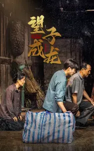 《被偷走的人生&遥不可及的母亲（35集）（夸克网盘）》短剧封面