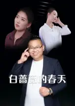 《白蔷薇的春天（86集）》短剧封面