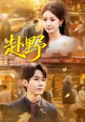 《赴野(40集)宜樊&丁珂丹(夸克网盘)》短剧封面