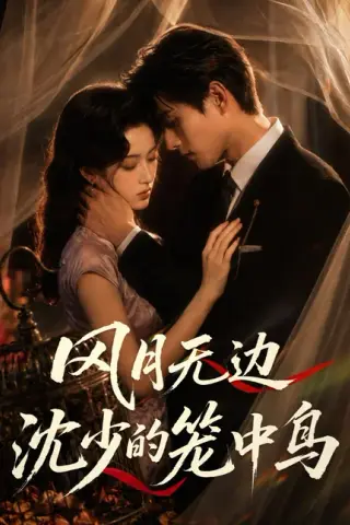 《风月无边，沈少的笼中鸟（58集）AI短剧 (2026)》短剧封面