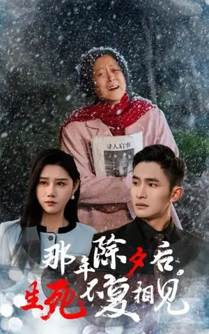 《那年除夕后生死不复相见（48集）魏昕怡（夸克网盘）》短剧封面