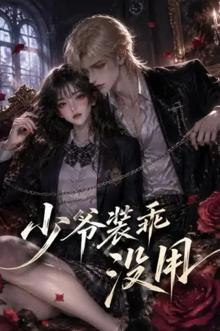 《少爷装乖没用（40集）（夸克网盘）》短剧封面