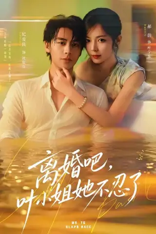《离婚吧，叶小姐她不忍了（72集）纪俊良＆郝韵（1080P）（夸克网盘）》短剧封面