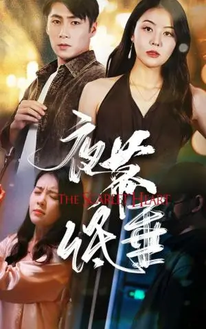 《夜幕低垂（37集）（夸克网盘）》短剧封面
