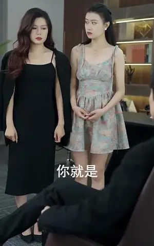 《致命魅丽（100集）张曼娜&攒攒（夸克网盘）》短剧封面