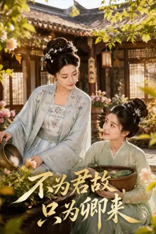 《不为君故，只为卿来（60集）（夸克网盘）》短剧封面