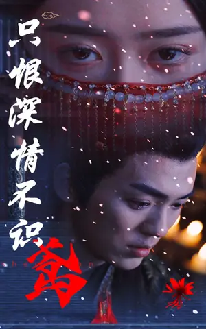 《只恨深情不识鸢》短剧封面