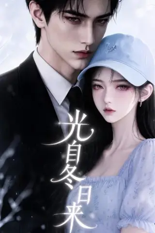 《光自冬日来（219集）（夸克网盘）》短剧封面