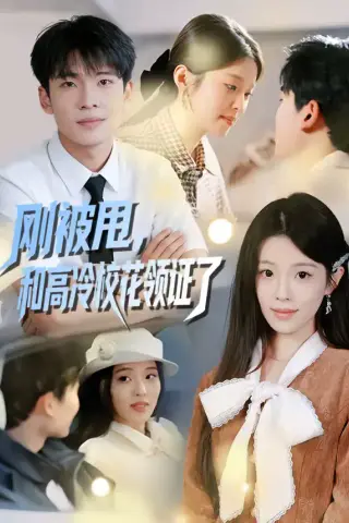 《刚被甩，和高冷校花领证了（67集）杜宇琪＆傅韶涵（夸克网盘）》短剧封面