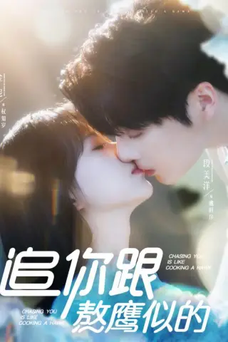 《追你跟熬鹰似的（95集）段美洋＆金妮（夸克网盘）》短剧封面