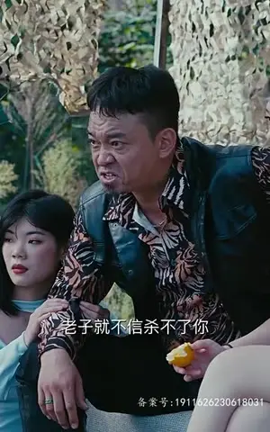 《镇国龙婿(81集)》短剧封面