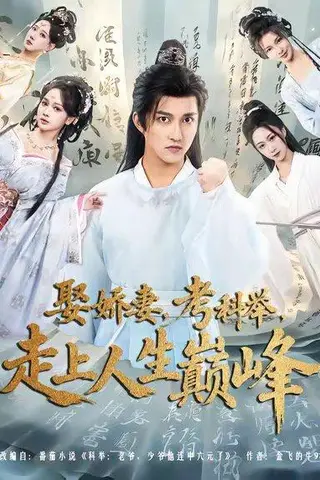 《娶娇妻，考科举，走上人生巅峰（80集）》短剧封面
