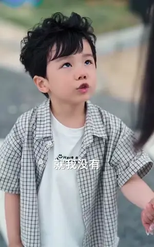 《萌宝诞生于三万英尺(93集)》短剧封面