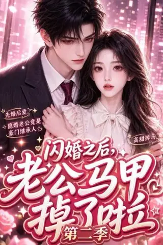 《闪婚之后，老公马甲掉了啦第二季（60集）（夸克网盘）》短剧封面