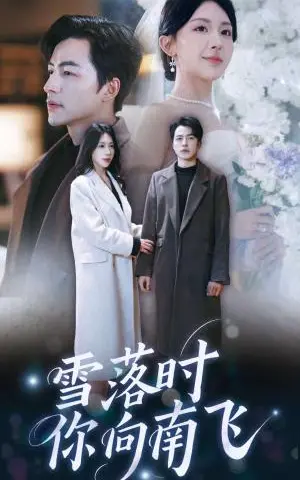《雪落时你向南飞（34集）吴昊＆房蕾（夸克网盘）》短剧封面