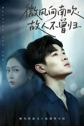 《微风向南吹，故人不曾归（72集）易柏辰&王悦洋》短剧封面