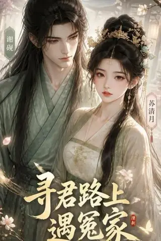 《寻君路上遇冤家（38集）（夸克网盘）》短剧封面