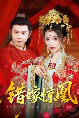 《上错花轿我当场改嫁前夫他爹&重生花轿这世换我当婆婆&错嫁惊凰（100集）龚小钧&虞彤彤》短剧封面