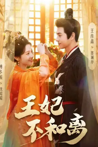 《王妃不和离（80集）王彦鑫＆傅冬暖（百度网盘）》短剧封面