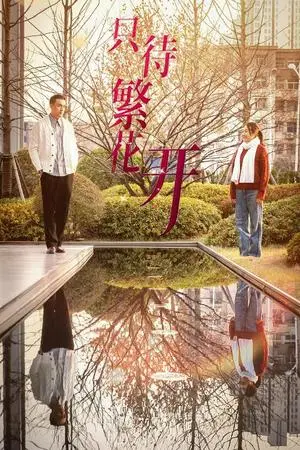 《只待繁花开（35集）（夸克网盘）》短剧封面
