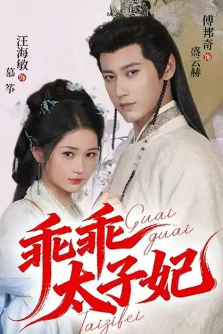《乖乖太子妃（64集）傅邦奇＆汪海敏》短剧封面
