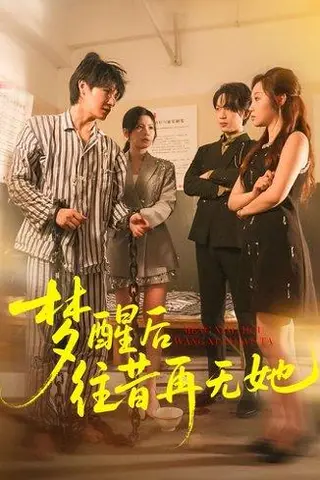 《梦醒后往昔再无她（84集）》短剧封面