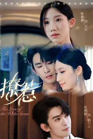 《撩惹》短剧封面
