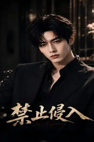 《禁止侵入（62集）（夸克网盘）》短剧封面