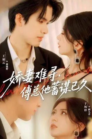 《娇妻难寻，傅总他蓄谋已久（80集）王晟云＆于杨梓》短剧封面
