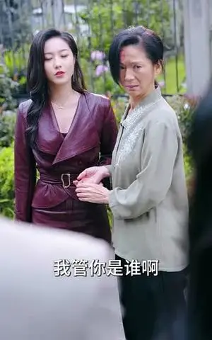 《携母成凤（74集）白雪茹（夸克网盘）》短剧封面
