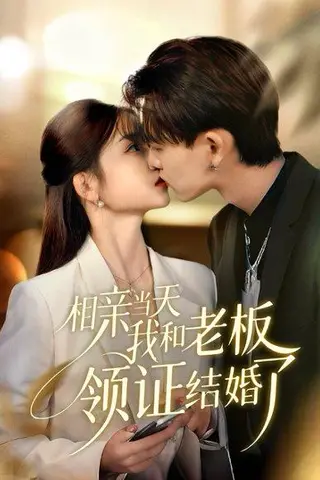 《相亲当天我和老板领证结婚了（52集）刘苗苗&张本睿（百度网盘）》短剧封面