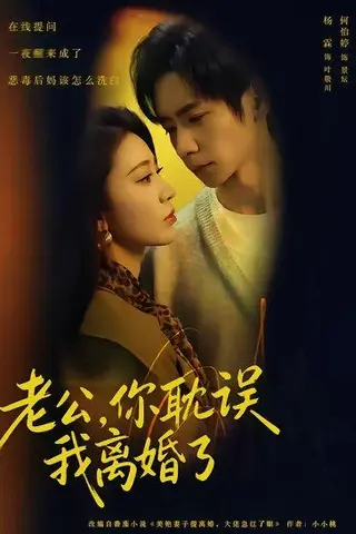 《老公，你耽误我离婚了（70集）何怡婷&杨霖&邓卓（百度网盘）》短剧封面