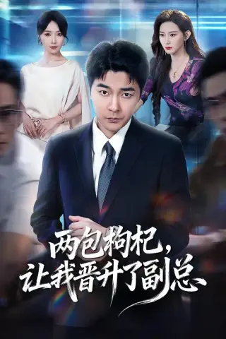 《两包枸杞，让我晋升了副总（65集）董星辰＆芊亿＆孙兵＆逸枫（1080P）（夸克网盘）》短剧封面