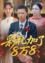 《彩礼加了8万8》短剧封面