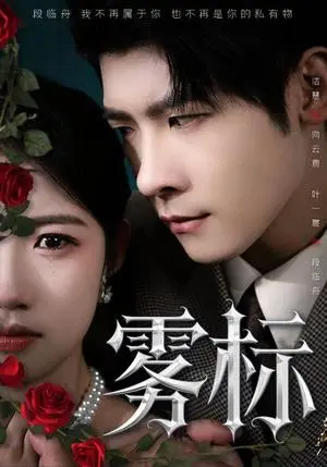 《雾标（70集）叶一宸＆高洁慧》短剧封面